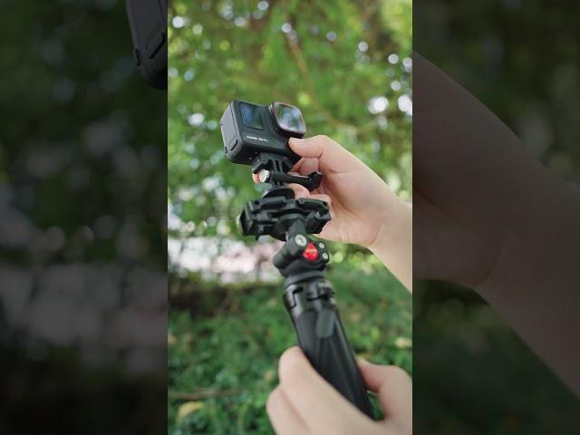 The TP38 portable mini tripod for cell phones, cameras and action cameras!