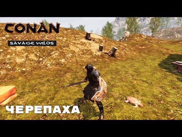 Conan Exiles Savage Wilds / Черепаха / Питомец