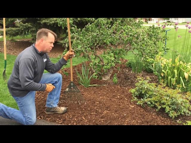 Bed Preparation and Remulching