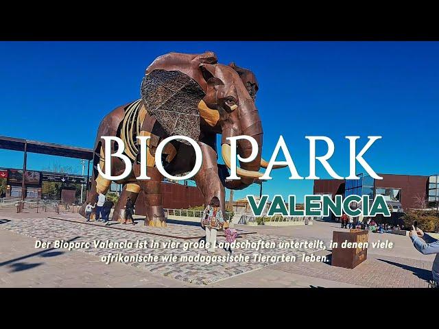 Valencia Bio Park 2024 #valencia #bioparc #animals #spain #spaintravel