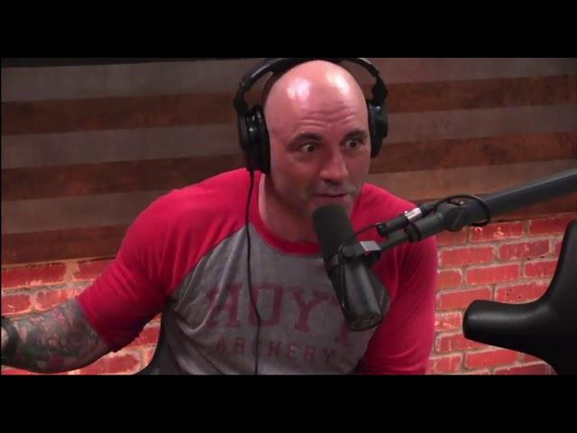 Joe Rogan on Weed & Introspection