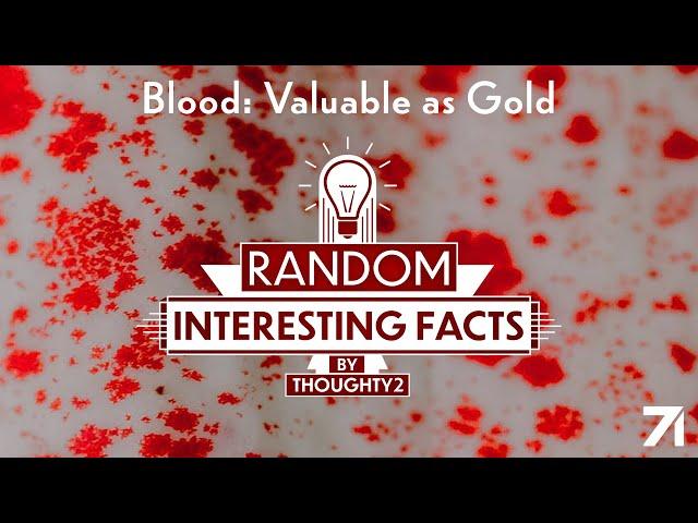 Blood: Valuable as Gold | EP 5 RIF