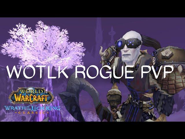 WOTLK | Subtlety Rogue PvP | BGs, Arena & World PvP