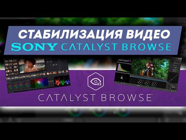 Стабилизация видео в Catalyst Browse против Davinci resolve