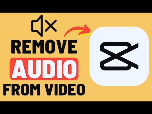 How To Remove Sound From A Video In CapCut