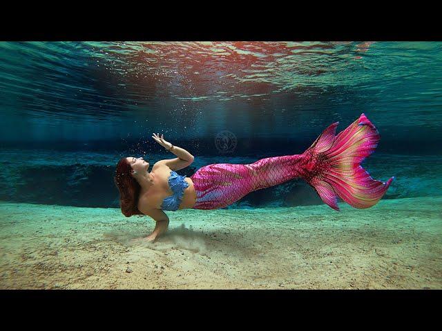 THE MERMAID FREEDIVE RETREAT!