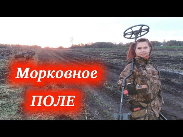 Морковное поле! Бабский Коп, в поисках монет и старины.