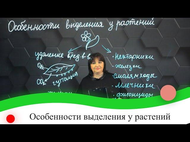 Особенности выделения у растений. 7 класс.