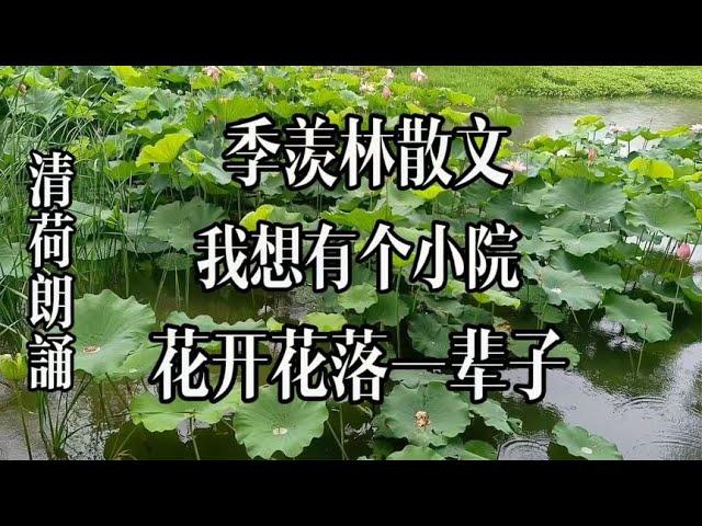 季羡林散文，我想有个小院子，花开花落一辈子