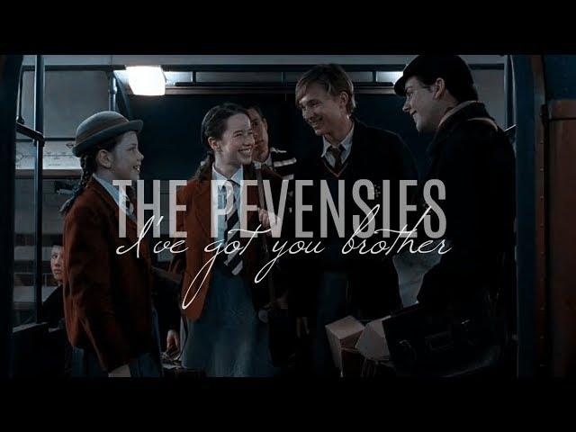 the pevensies || i've got you brother