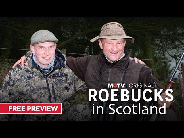 Roebucks in Scotland | Free Preview | MyOutdoorTV