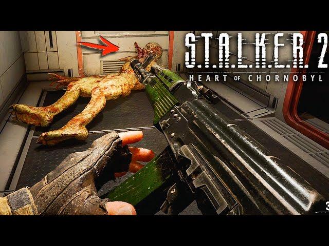  АБСОЛЮТНО НОВЫЙ СТАЛКЕР! S.T.A.L.K.E.R. 2 Heart Of Chornobyl #1