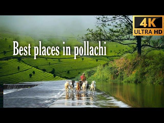 Pollachi near best place to visit with budget |waterfalls | dam | view point | yengadapora