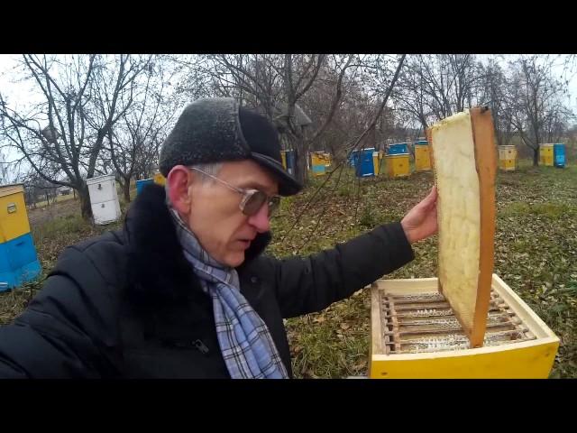 Effective Beehives of Ukrainian Beekeeper Vasyl Priyatelenko