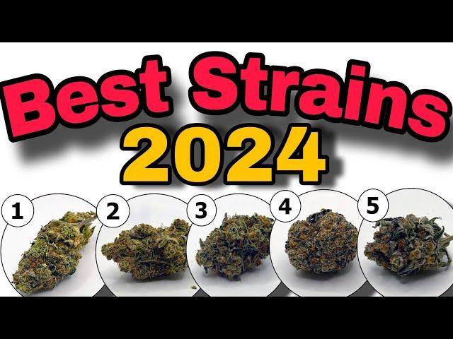 Top 5 Cannabis Strains DGC Cup 2024