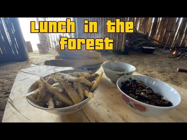 Harvest Bamboo Shoots and Catch Spiders | Idyllic Life