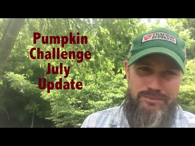 Whistle Thicket's Pumpkin Challenge 2017 : July Update and Prizes!