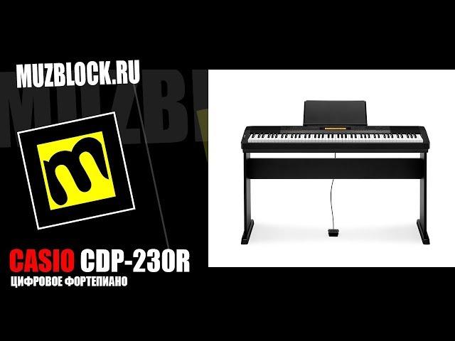 Casio CDP-230R - цифровое фортепиано, обзор