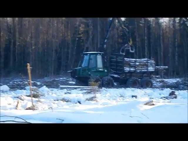 Timberjack 810C + falling some big trees with stihl chainsaw