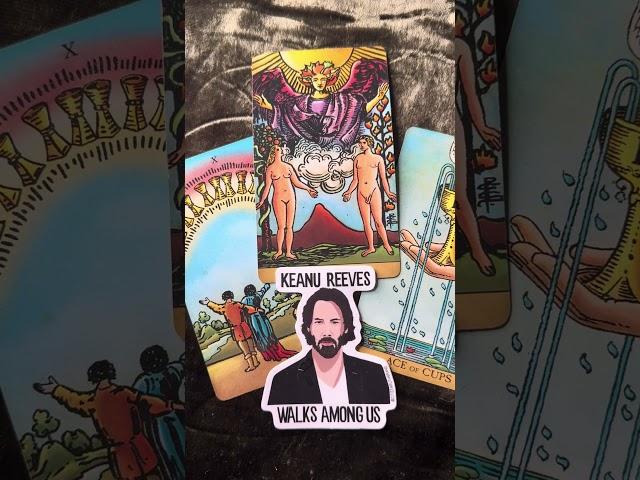 Keanu Reeves Soulmate Tarot & Oracle Reading #tarotlove