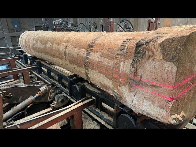 A Long Ash Saw-Milling Song!! #125