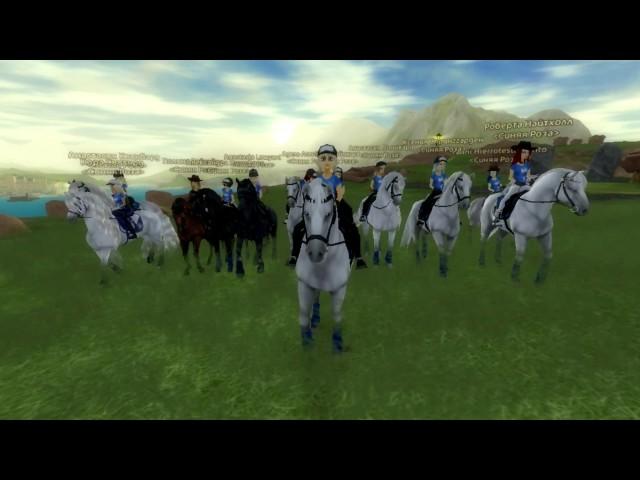SSO | Pioneer | Blue Rose #11