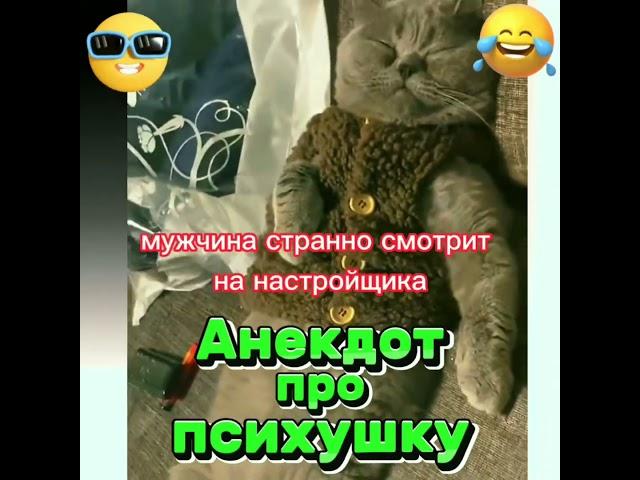 Анекдот про психушку #анекдоты #приколы #юмор #котики #шутки #мемы #психушка