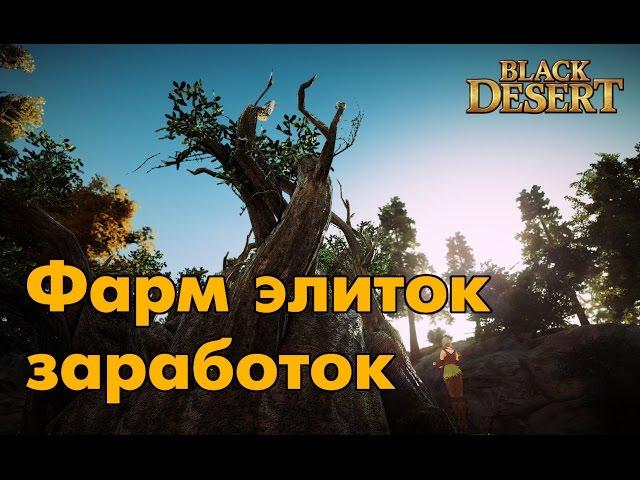 Black Desert (RU) - Фарм Элитных мобов 60 уровня