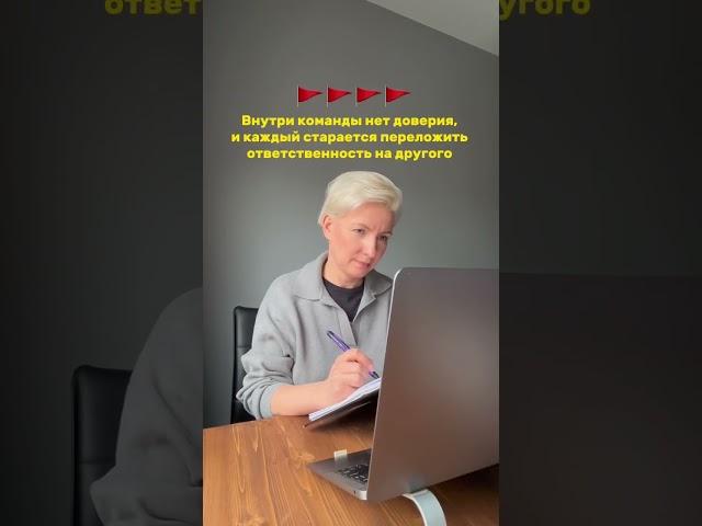 #команда #побизнесу