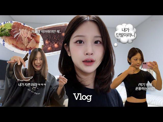 VLOGㅣ추워지니 입맛이 돌고 머리를 자르고싶어져요‍️ ㅣ혼자보내는 연말(말많음주의)️, 5년만에 자른 단발, 겟레디윗미, 루프탑맛집