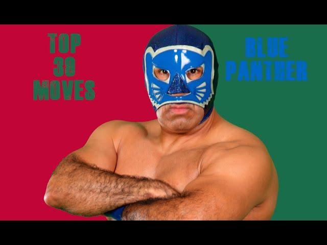 Top 29 moves of Blue panther