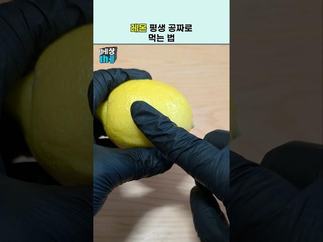레몬 돈주고 사는 흑우읍제?