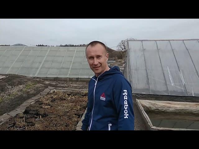 Профессионал своего дела! Поездка в побратимый питомник Waterlilia.com.ua к Александру в Украине!!!