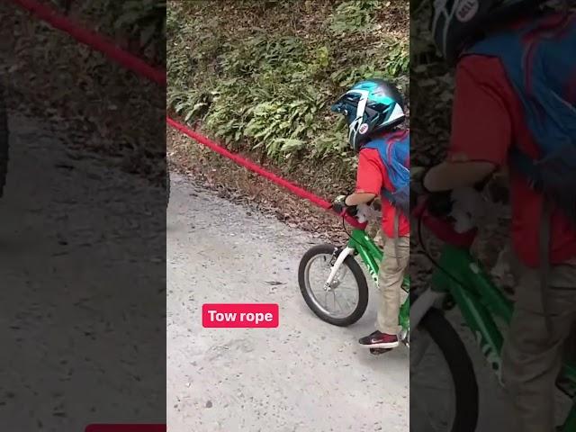 5 Ways To Carry Kids By Bike 