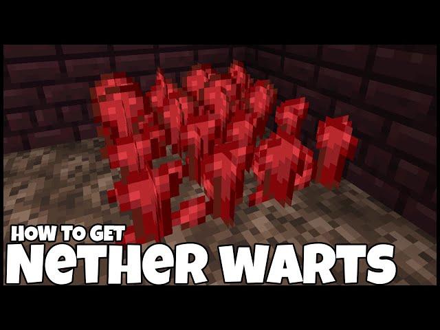 How To Get NETHER WARTS In MINECRAFT 1.21