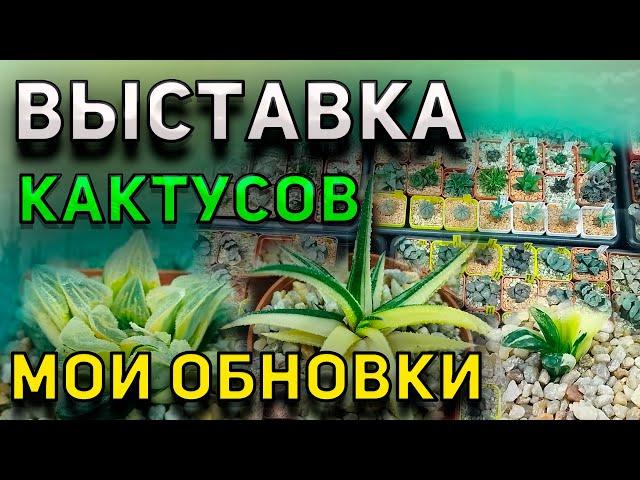 Выставка кактусов и суккулентов. Мои Новые Кактусы. Уход за кактусами.