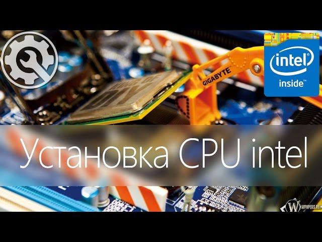  [F.A.Q] Как установить процессор Intel правильно -/- How to install CPU Intel