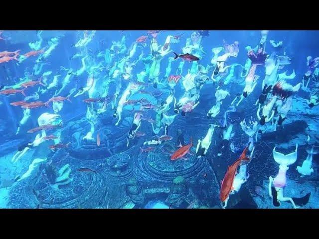 WORLD LARGEST UNDERWATER MERMAID SHOW CONSISTS 110 PEOPLE ACHIEVED BY ATLANTIS SANYA‍️