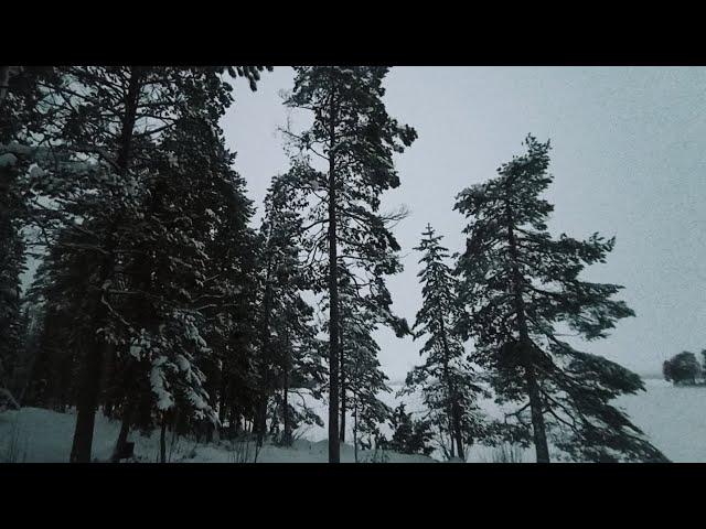 Рыбалка в глухозимье. Выходим из спячки. Впереди длинный сезон. Зимняя рыбалка в Карелии.