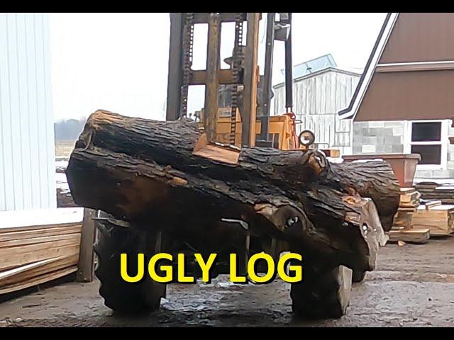 Ugliest Maple Log on the sawmill