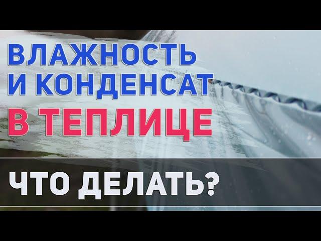 Влажность и конденсат в теплице  Из за чего появляется и как избавиться?