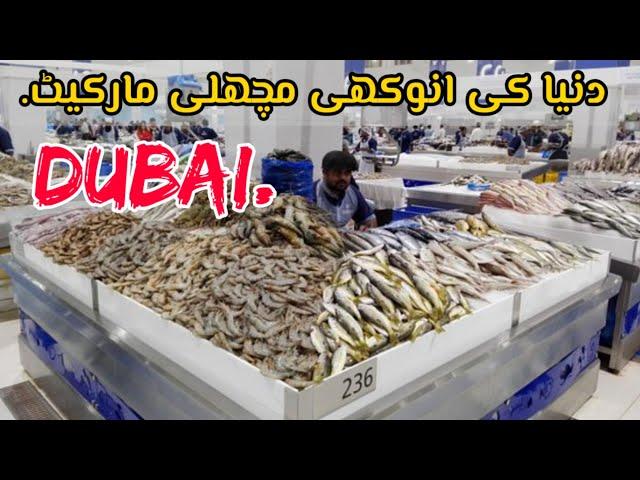 Dubai fish market vlog || machli market Dubai || biggest fish market of Dubai waterfront by vlogs pk