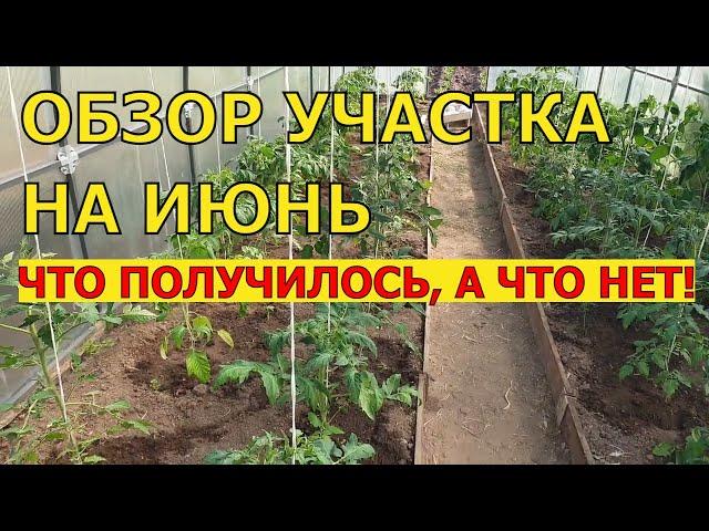 ПРИБАЛТИЙСКАЯ ДАЧА. Обзор Участка на 06.06.2021 г.