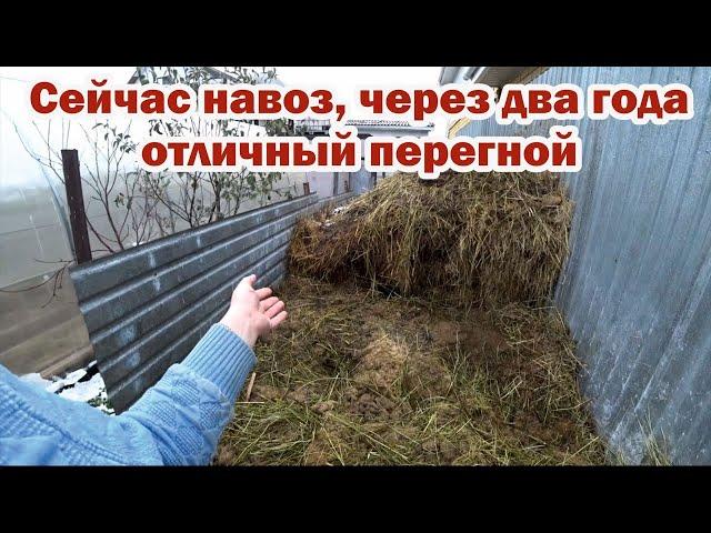 Как правильно уложить навоз для быстрого перегнивания?