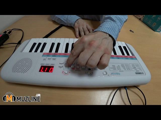 Yamaha PSS E-30 Remie Обзор (Overview), Демонстрация (Demonstration) children's synthesizer