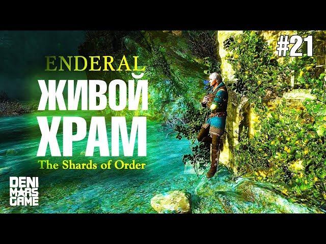 Enderal The Shards of Order ● Прохождение #21 ● Живой Храм