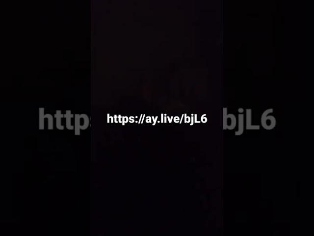 türk ifsa