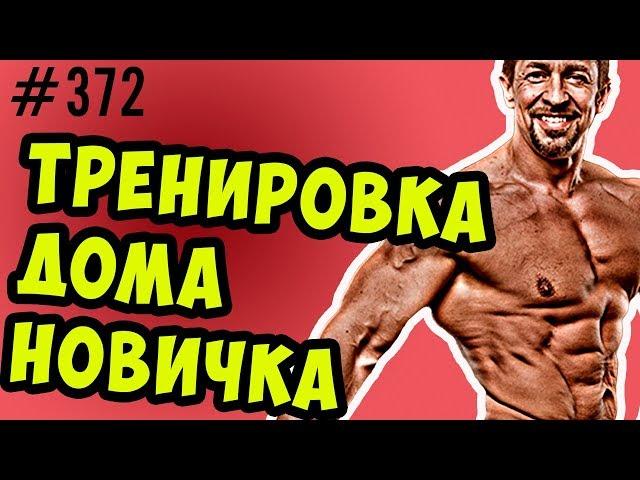 тренировка дома для начинающих. с собственным весом.