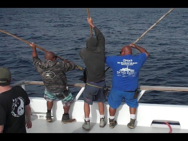 Epic SoCal Adventure: Catching Monster Tuna & Yellowtail!