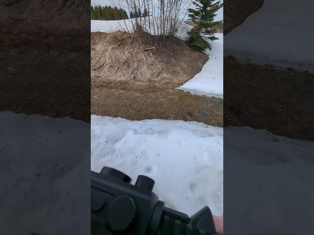 Springco "Extra Power" Red Spring Ejection Pattern - Standard Carbine buffer weight (overgas barrel)